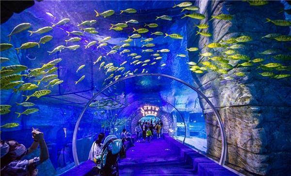 《龙与地下城》vr游戏宣布将推出非vr版本
